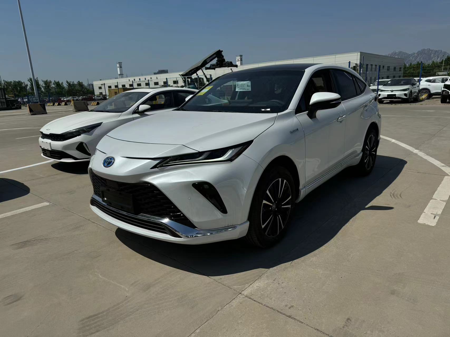 MY2024 TOYOTA VENZA 2.5L HYBRID – Chinese vehicles parallel export